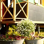 Bed & Breakfast La Roulotte Magic ! Des Grillots