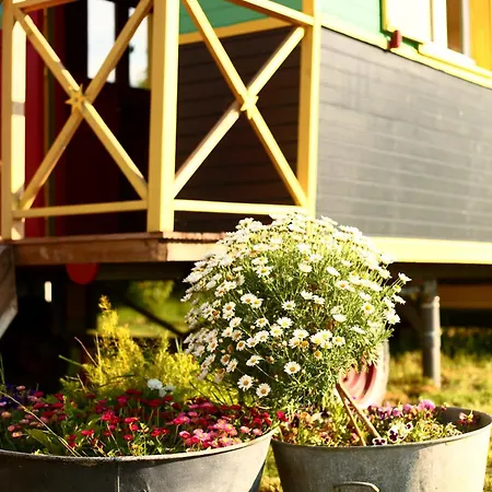 Bed and Breakfast La Roulotte Magic ! Des Grillots