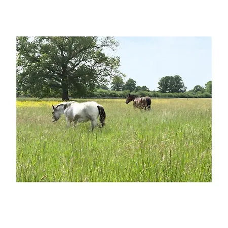 La Roulotte Magic ! Des Grillots Bed & Breakfast Beaulon